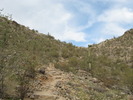 photo thumbnail #2