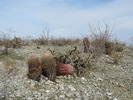 photo thumbnail #7