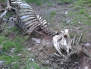 photo thumbnail #3