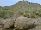 photo thumbnail #10