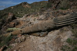 photo thumbnail #2