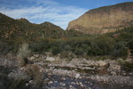 photo thumbnail #11