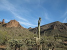 photo thumbnail #2