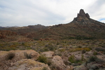 photo thumbnail #6