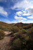 photo thumbnail #7
