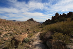 photo thumbnail #10
