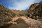 photo thumbnail #11