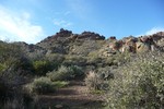 photo thumbnail #4