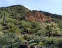 photo thumbnail #2