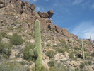 photo thumbnail #5