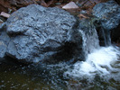 photo thumbnail #5