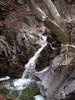 photo thumbnail #10