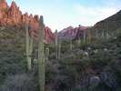 photo thumbnail #1