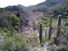 photo thumbnail #8