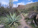 photo thumbnail #10