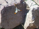 photo thumbnail #11