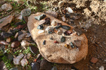 photo thumbnail #3