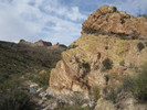 photo thumbnail #13