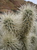 photo thumbnail #15