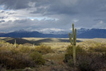 photo thumbnail #13