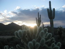photo thumbnail #1