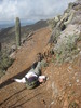 photo thumbnail #9