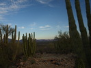 photo thumbnail #8