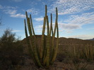 photo thumbnail #9