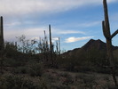 photo thumbnail #11