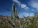 photo thumbnail #5