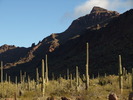 photo thumbnail #2