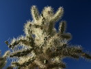 photo thumbnail #3