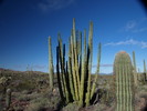 photo thumbnail #4