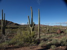 photo thumbnail #5