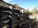 photo thumbnail #11