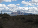 photo thumbnail #2