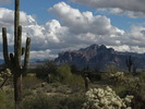 photo thumbnail #6