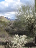 photo thumbnail #12