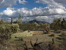 photo thumbnail #14