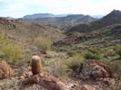 photo thumbnail #3