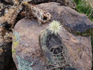 photo thumbnail #7