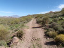 photo thumbnail #15