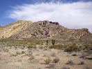 photo thumbnail #4