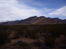 photo thumbnail #4