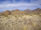 photo thumbnail #9