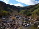 photo thumbnail #5