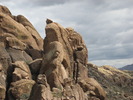 photo thumbnail #1