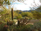 photo thumbnail #2