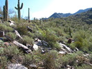 photo thumbnail #9