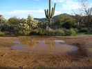 photo thumbnail #1